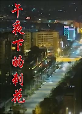 午夜下的刺花第03集